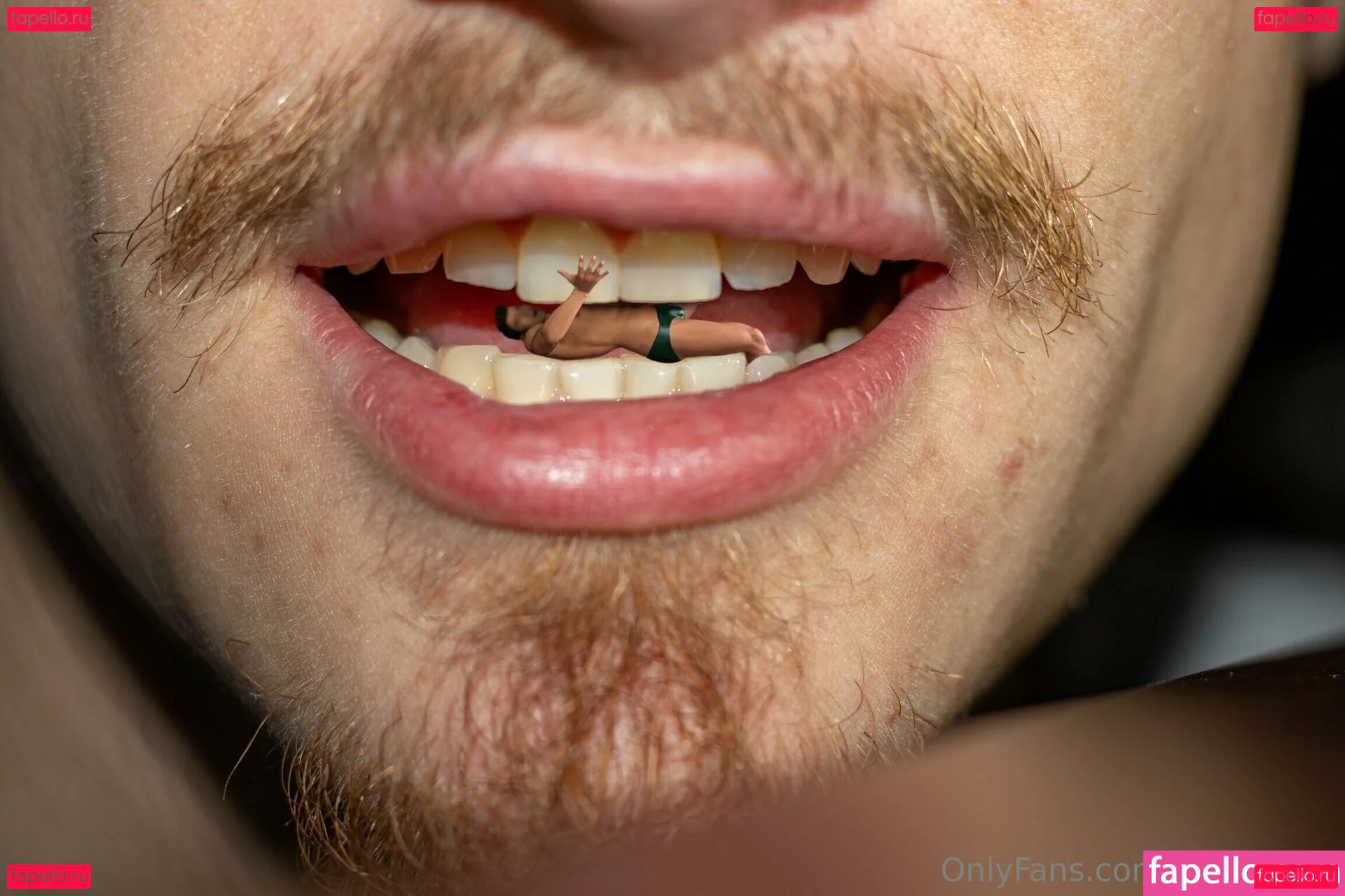 macrocole Onlyfans Photo Gallery 