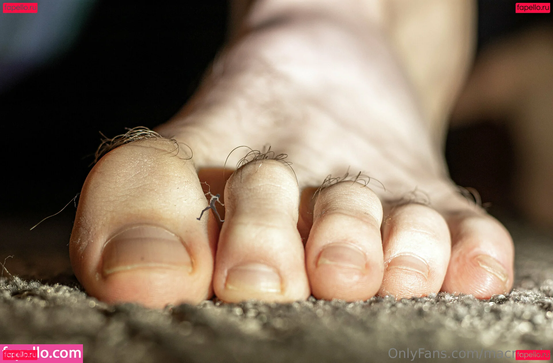 macrocole Onlyfans Photo Gallery 