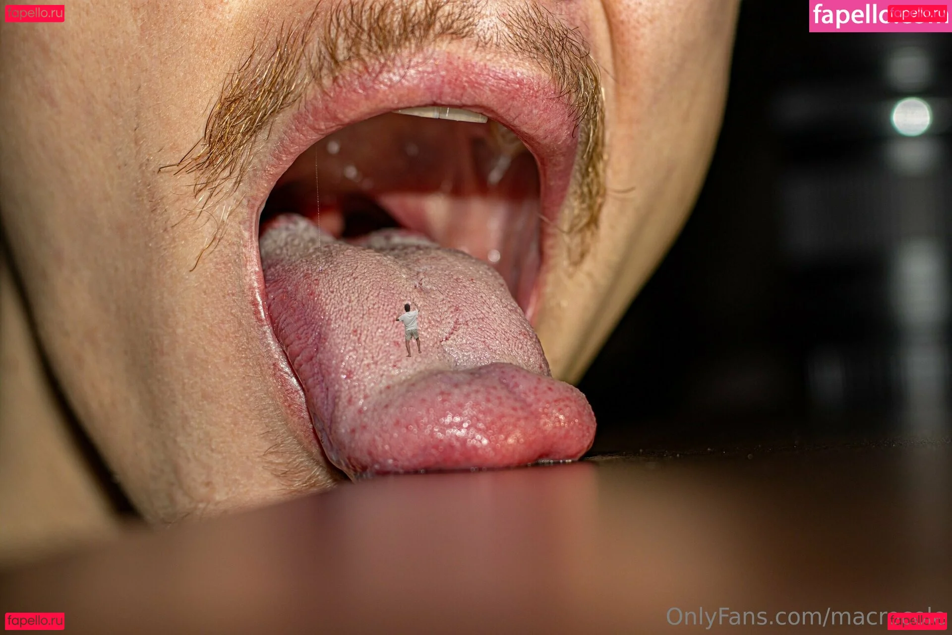 macrocole Onlyfans Photo Gallery 