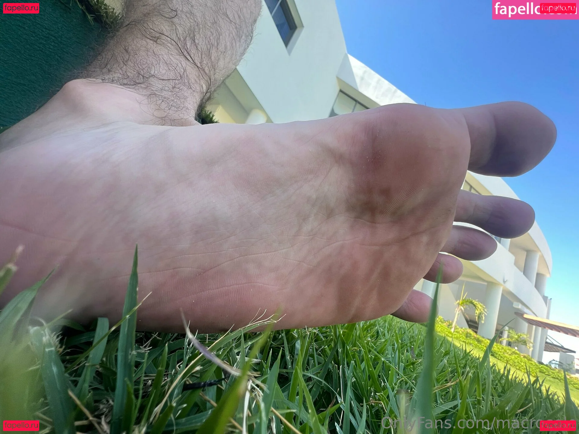 macrocole Onlyfans Photo Gallery 