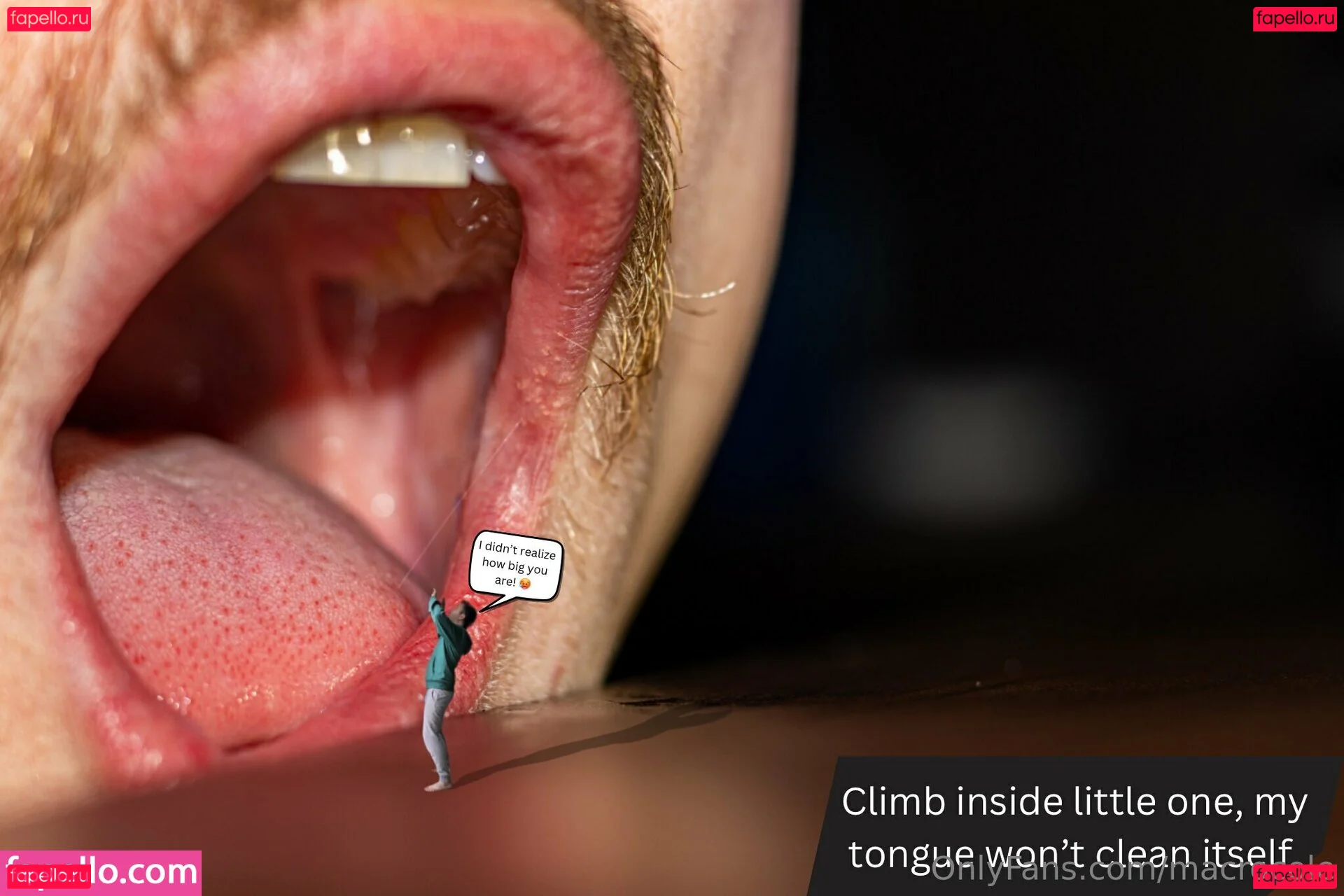 macrocole Onlyfans Photo Gallery 