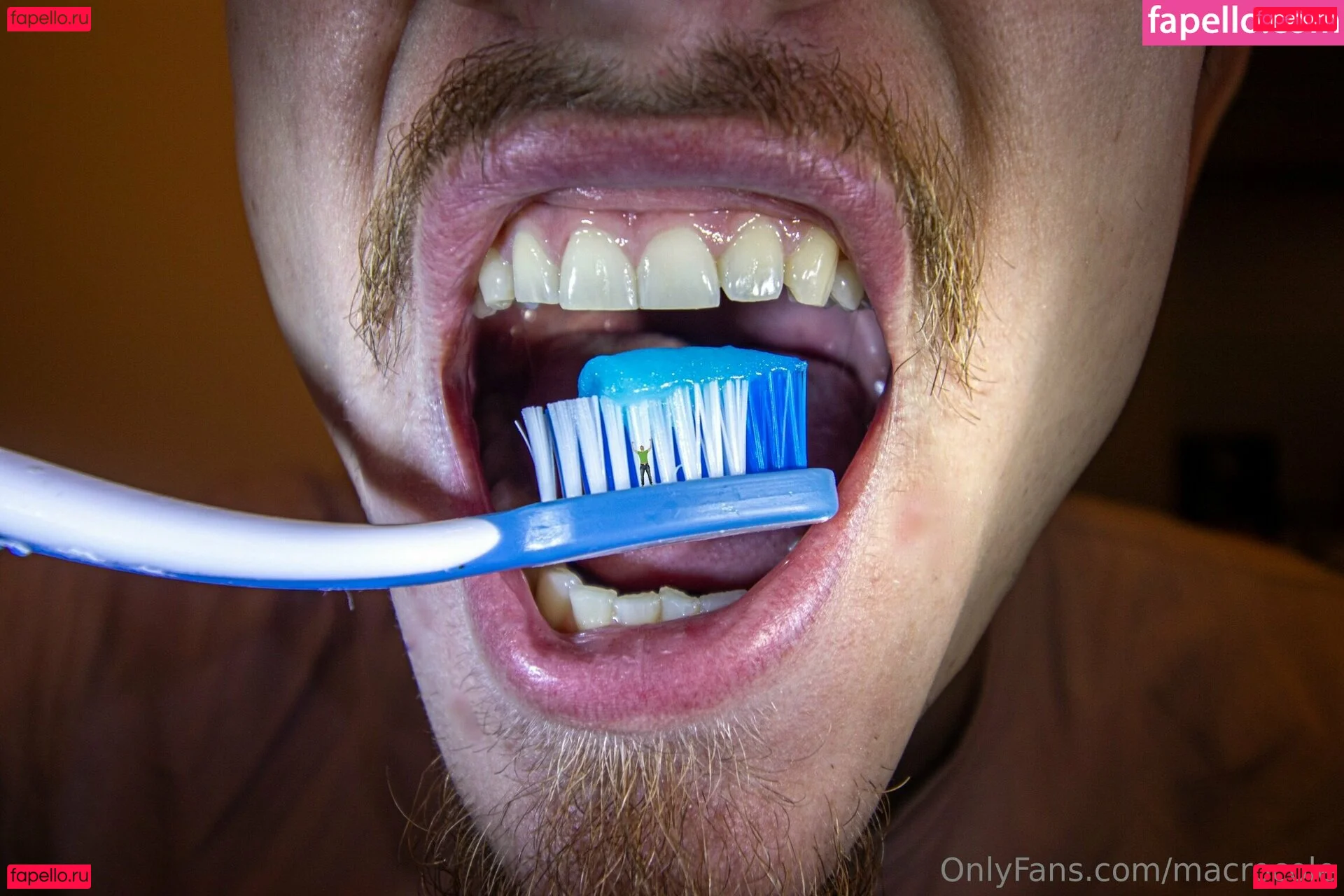 macrocole Onlyfans Photo Gallery 