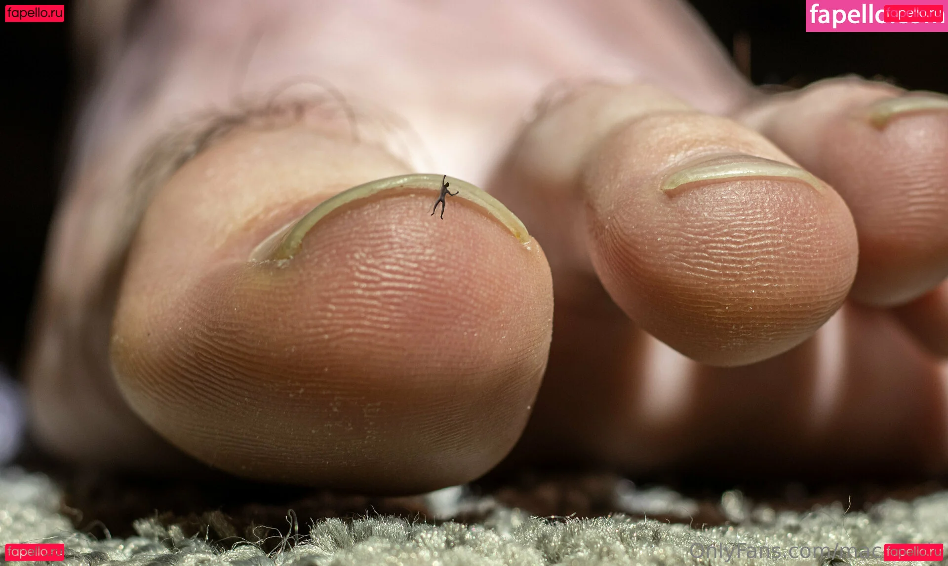 macrocole Onlyfans Photo Gallery 