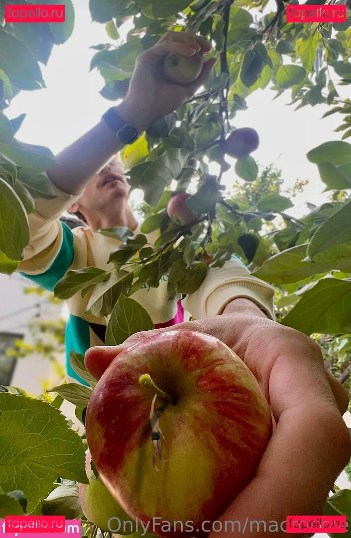 macrocole Onlyfans Photo Gallery 