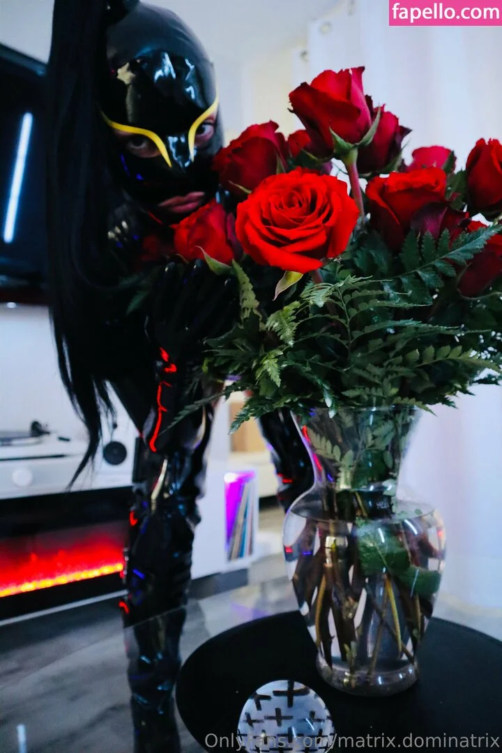 matrix.dominatrix Onlyfans Photo Gallery 