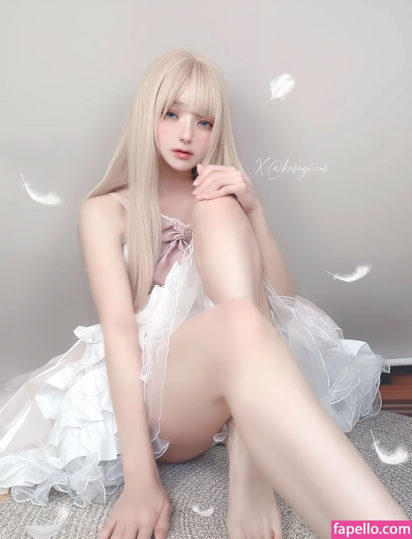 kasagi_cos Onlyfans Photo Gallery 