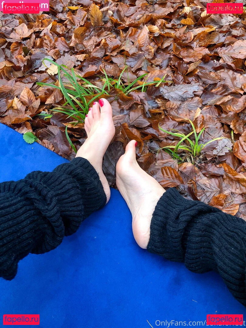 sofiaforfeet Onlyfans Photo Gallery 