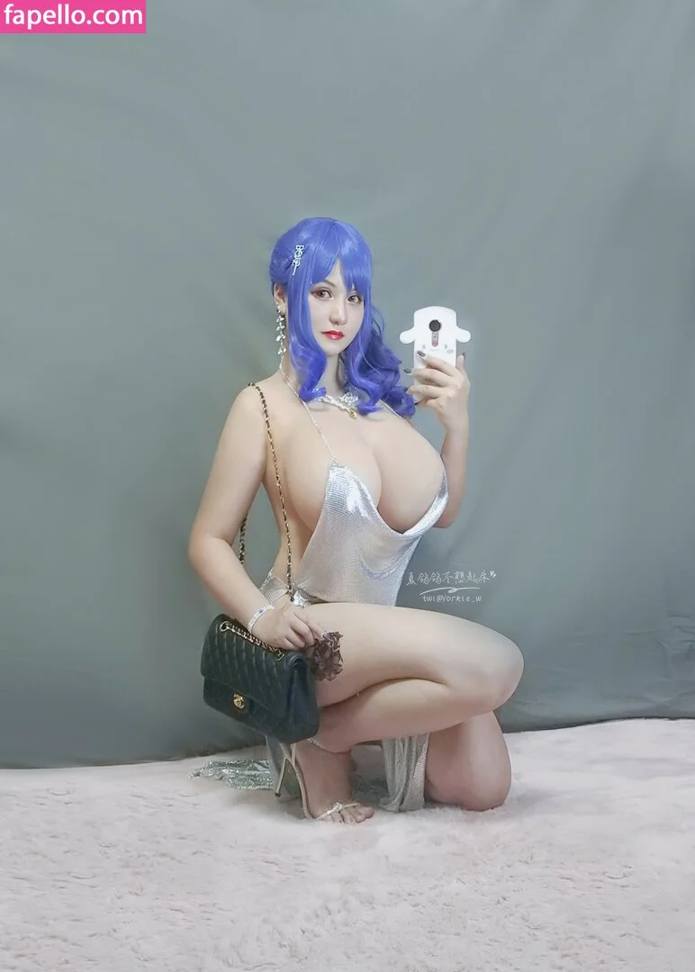 Yorkie Onlyfans Photo Gallery 