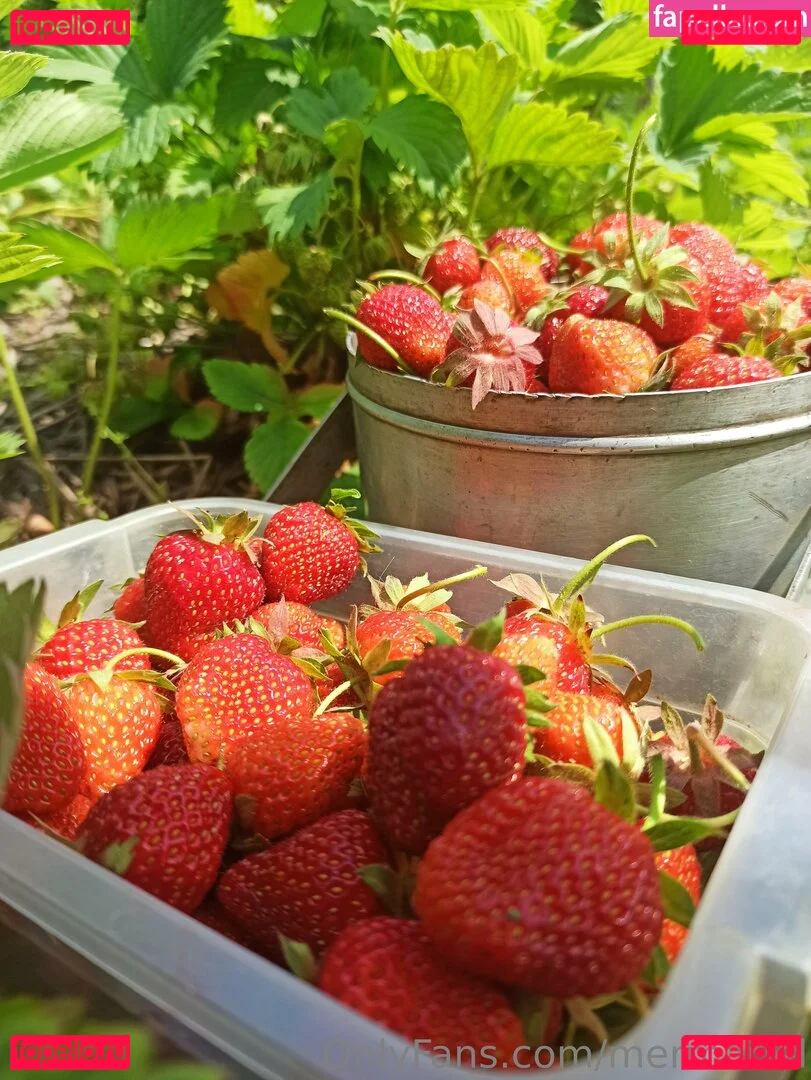 mermariel Onlyfans Photo Gallery 