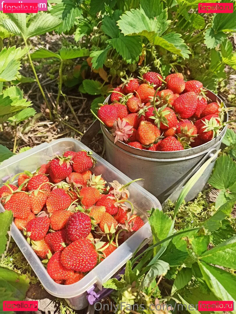 mermariel Onlyfans Photo Gallery 