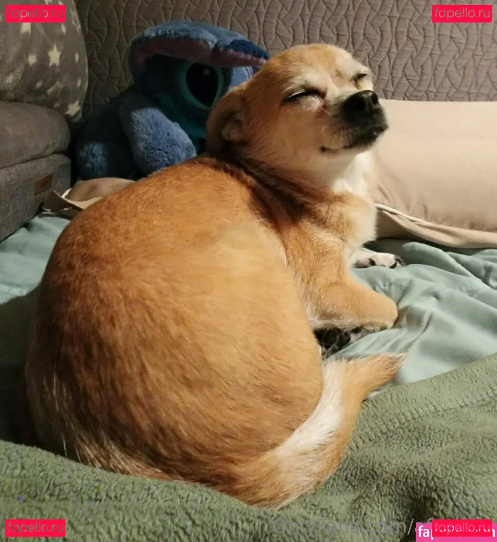 afaeded Onlyfans Photo Gallery 