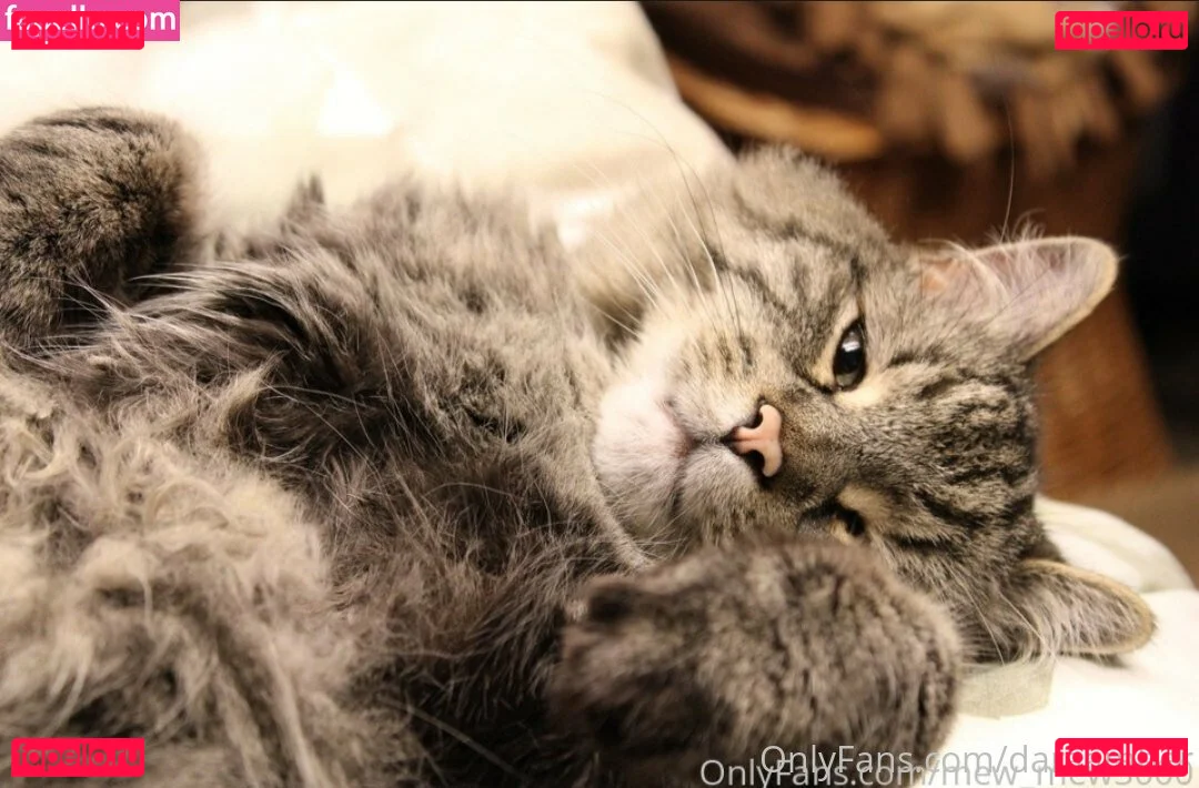 daraamber Onlyfans Photo Gallery 