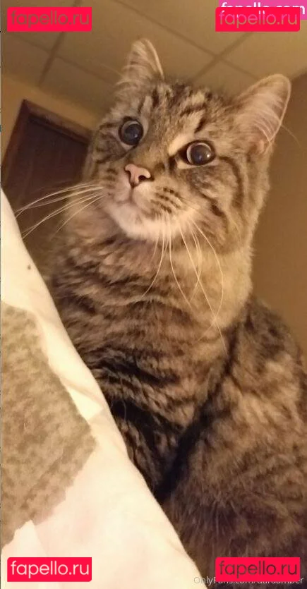 daraamber Onlyfans Photo Gallery 