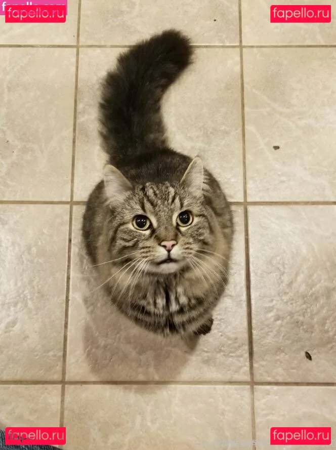 daraamber Onlyfans Photo Gallery 