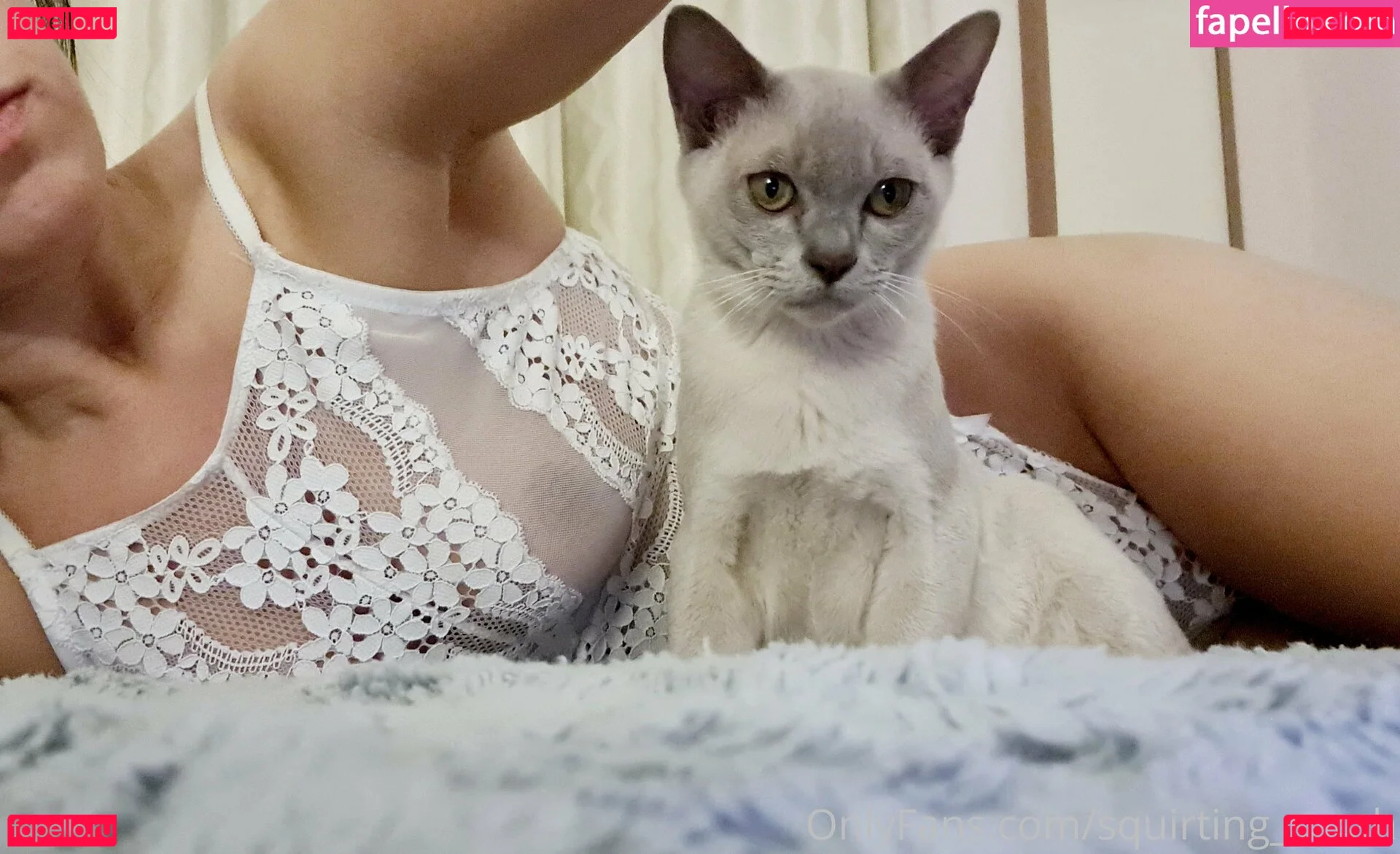 Belfastsarah Onlyfans Photo Gallery 