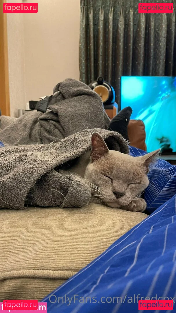 alfredcox Onlyfans Photo Gallery 