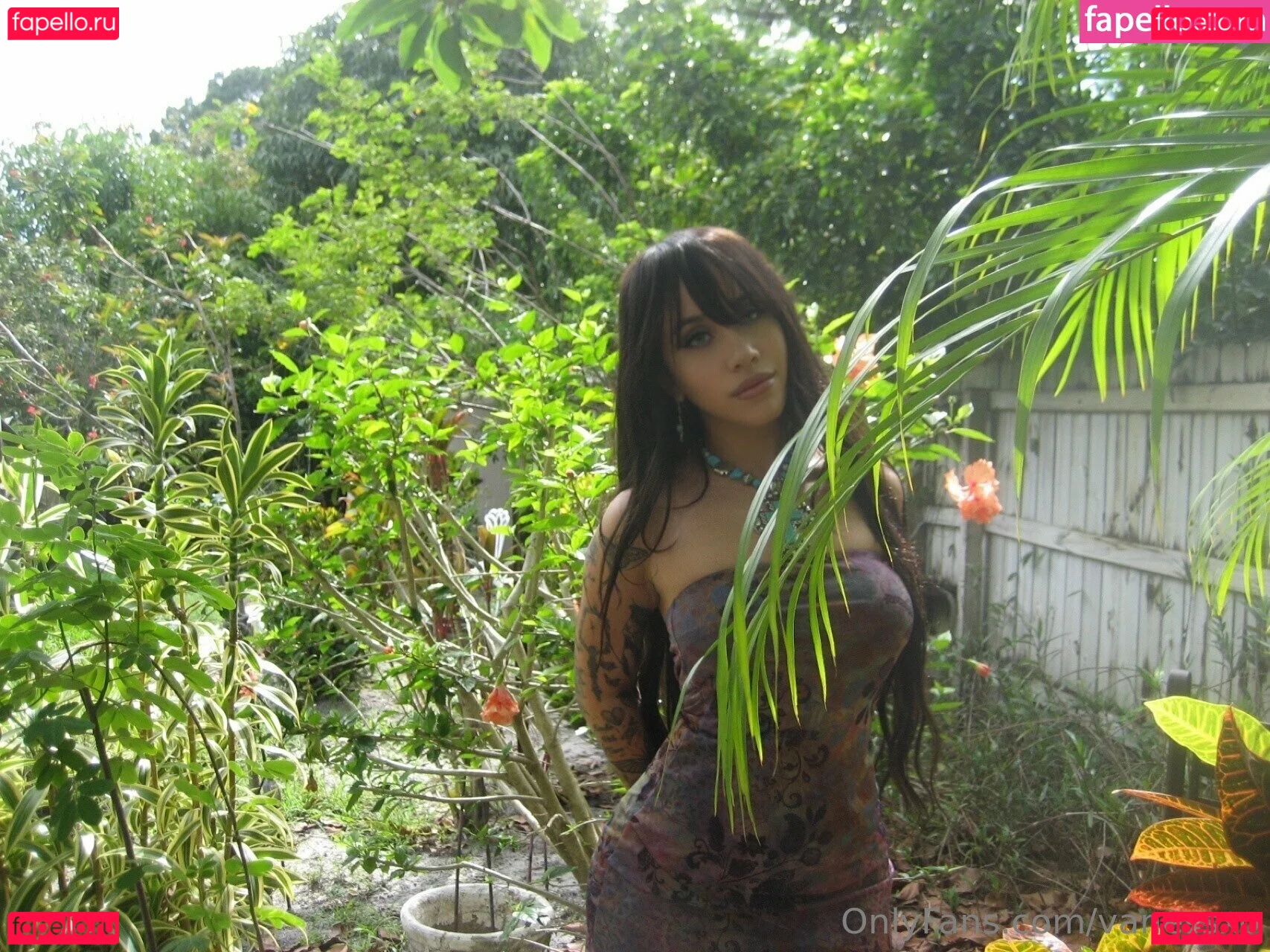 Vanessxo Onlyfans Photo Gallery 