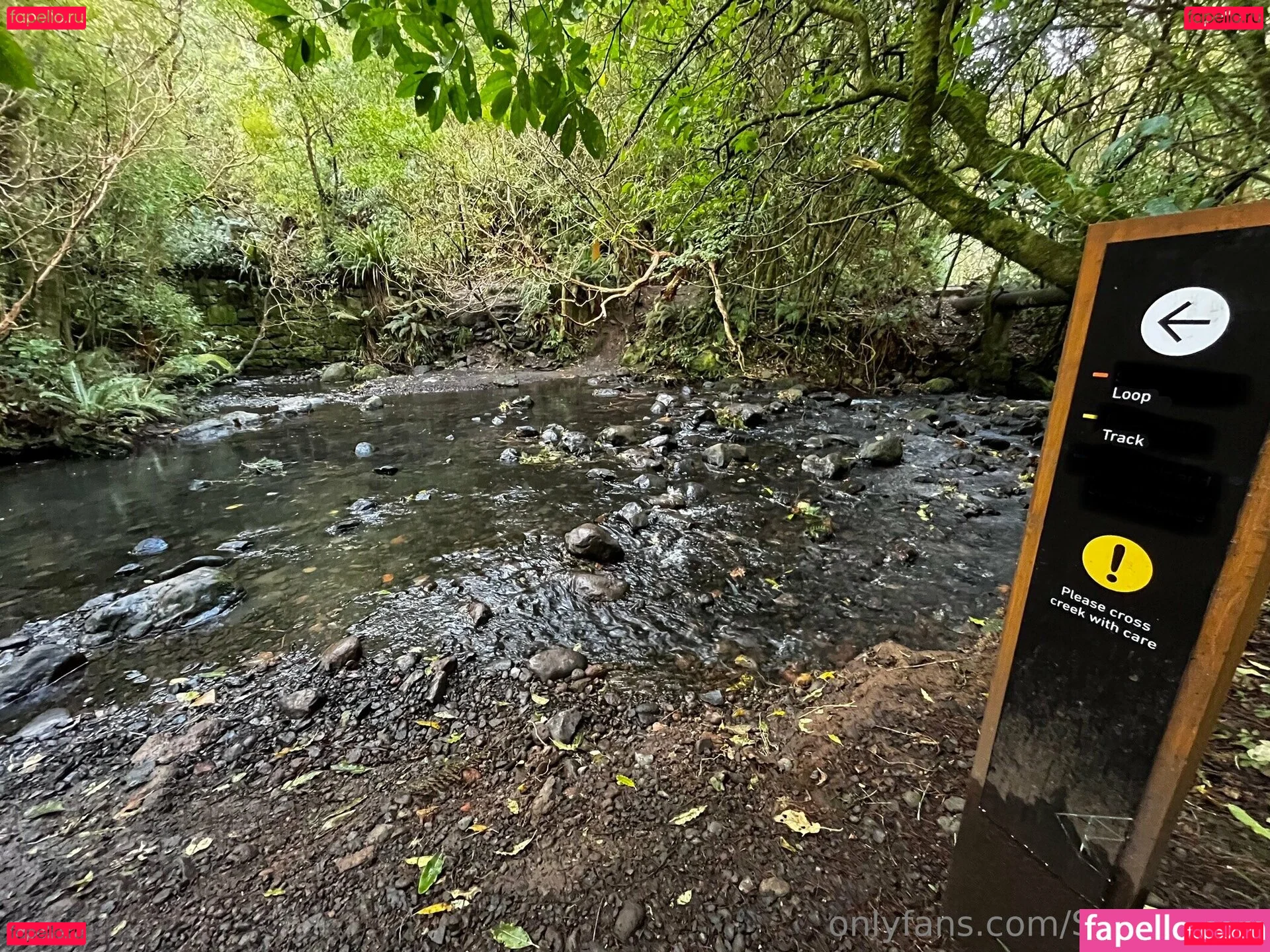 smilingcici Onlyfans Photo Gallery 