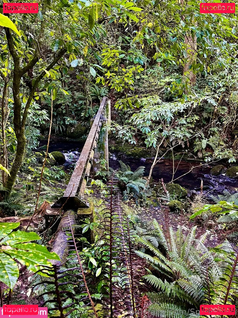 smilingcici Onlyfans Photo Gallery 