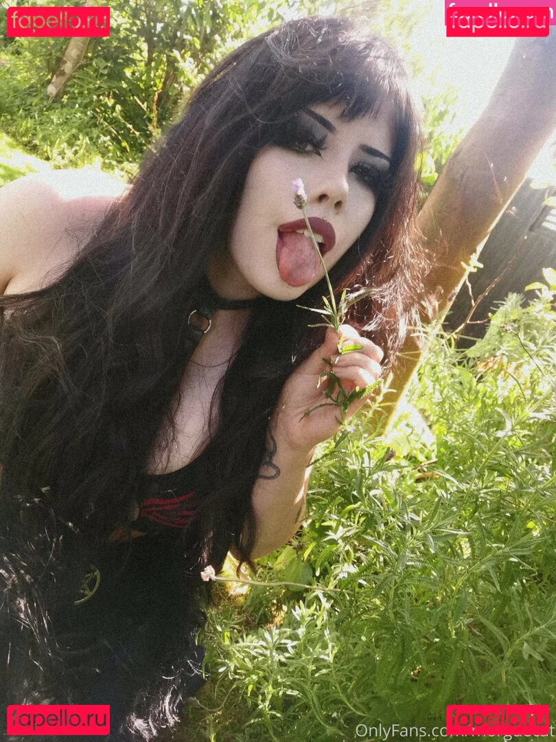 morguecat Onlyfans Photo Gallery 