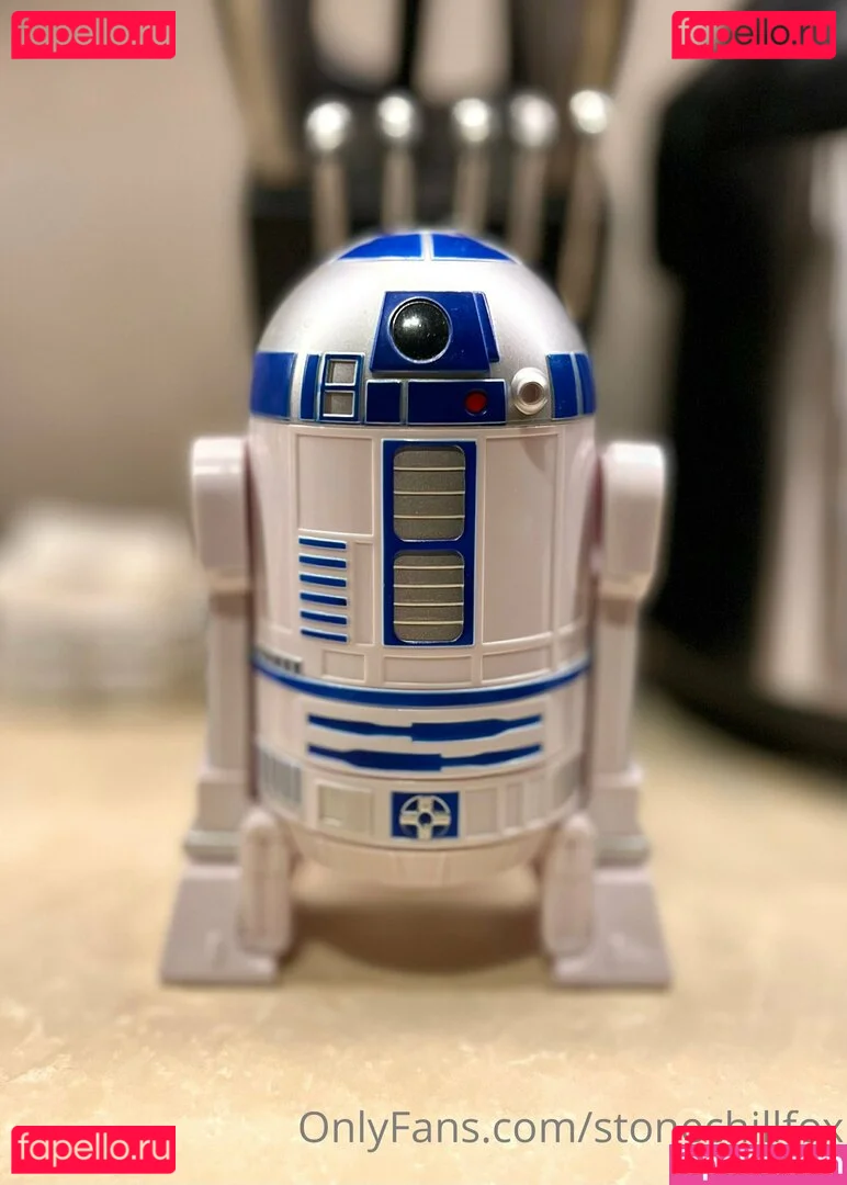 stonechillfox Onlyfans Photo Gallery 