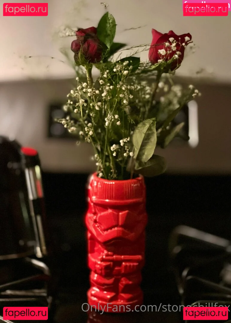 stonechillfox Onlyfans Photo Gallery 