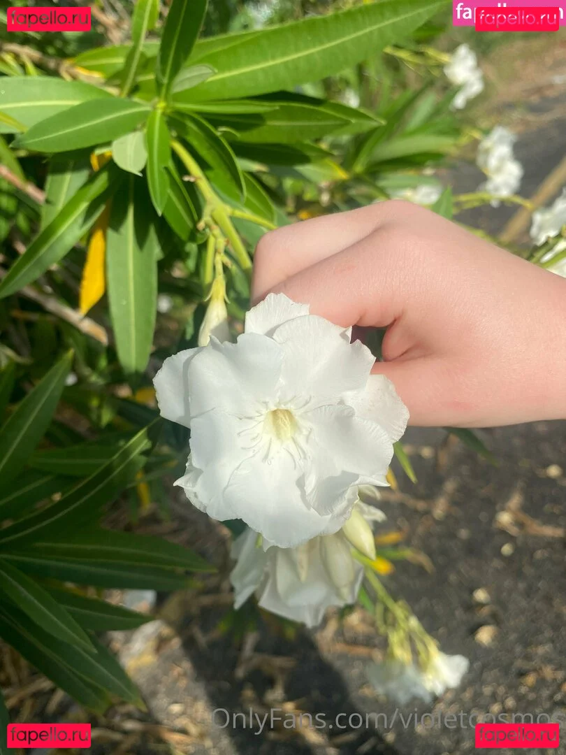 violetcosmos Onlyfans Photo Gallery 