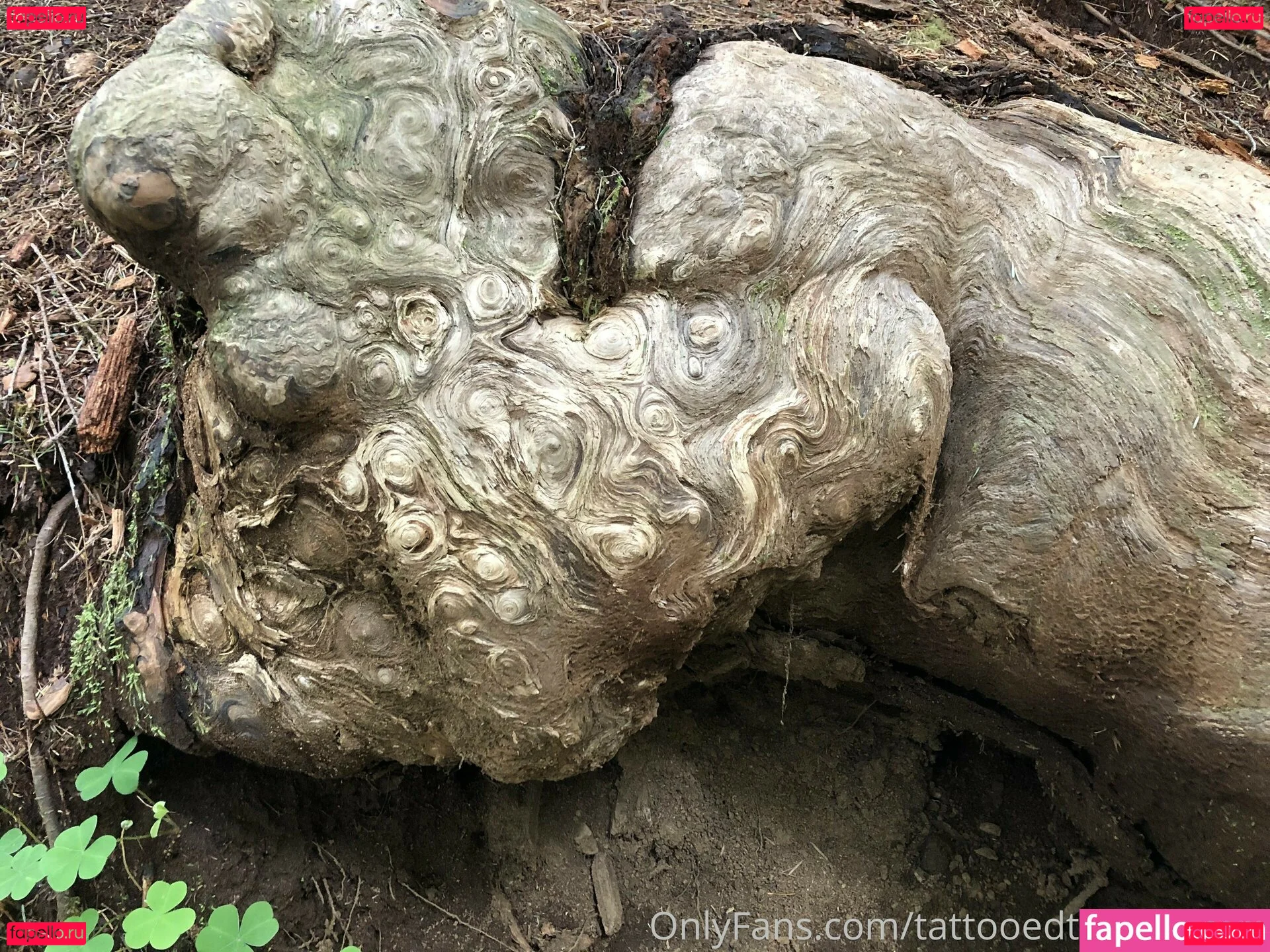 UnicornButtStuff Onlyfans Photo Gallery 