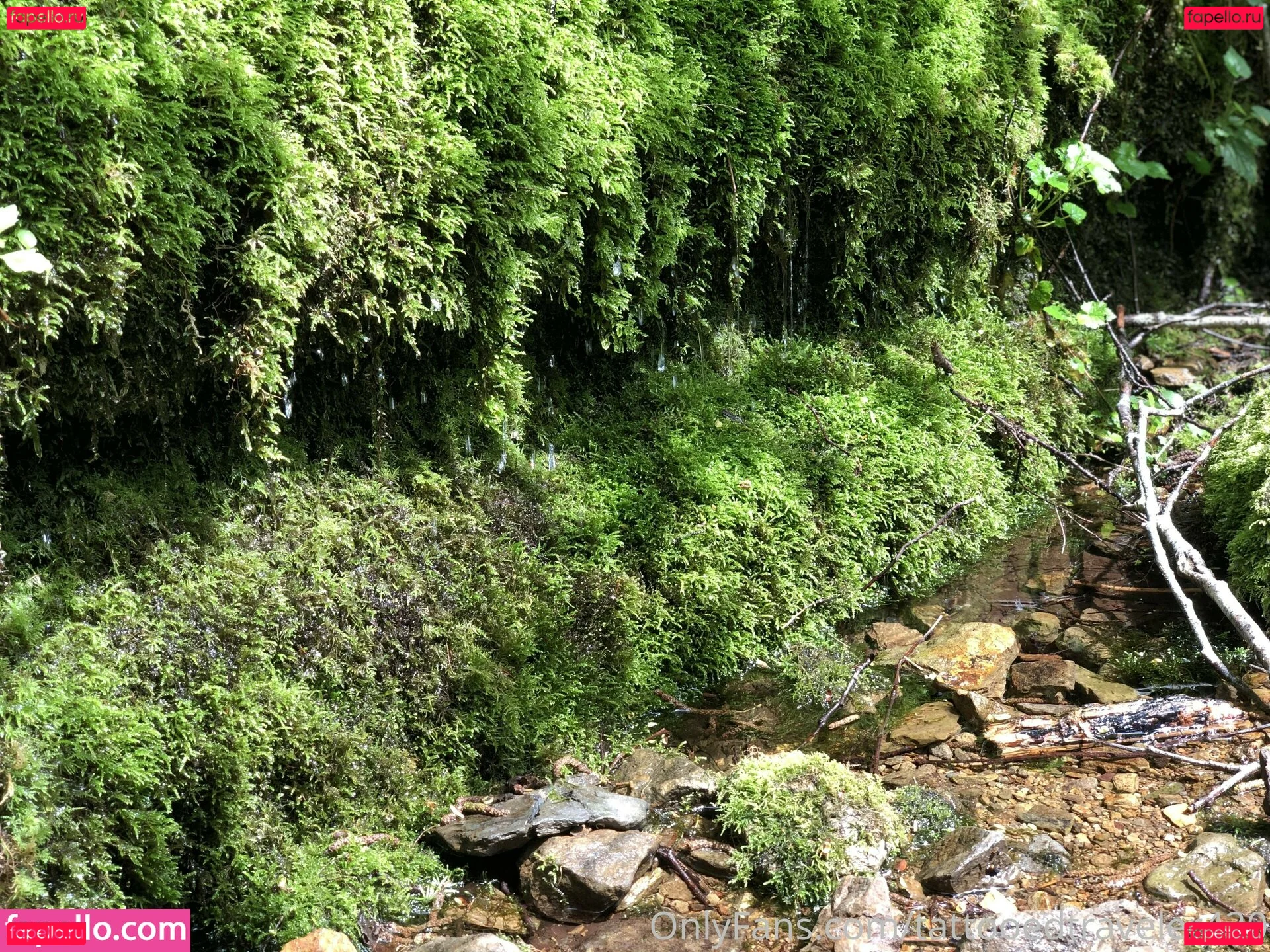 UnicornButtStuff Onlyfans Photo Gallery 