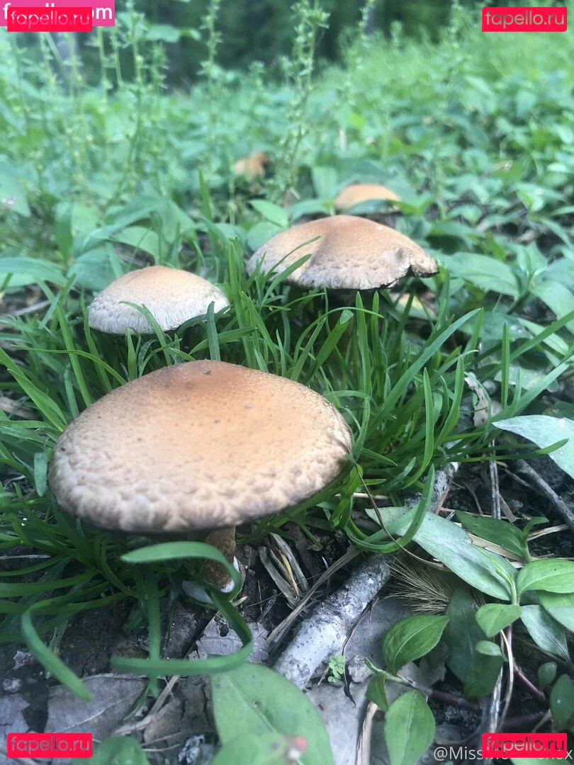 begformolly Onlyfans Photo Gallery 