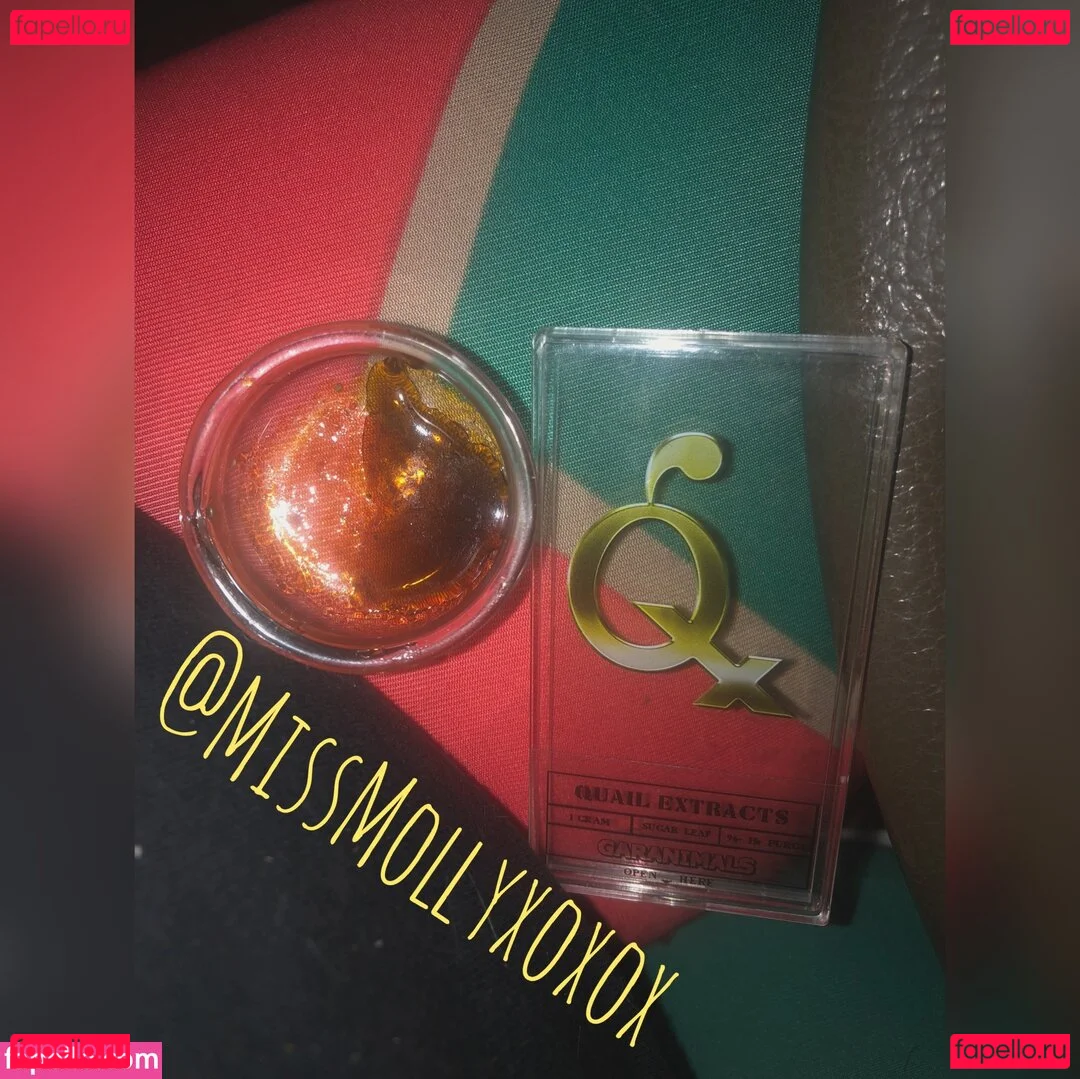 begformolly Onlyfans Photo Gallery 