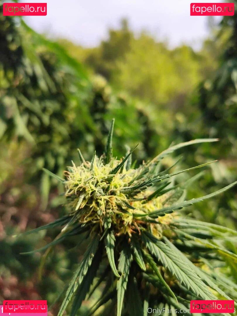 best_lu Onlyfans Photo Gallery 