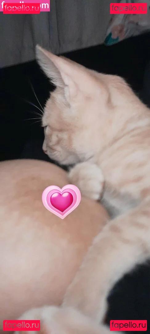 Jadeackerman Onlyfans Photo Gallery 