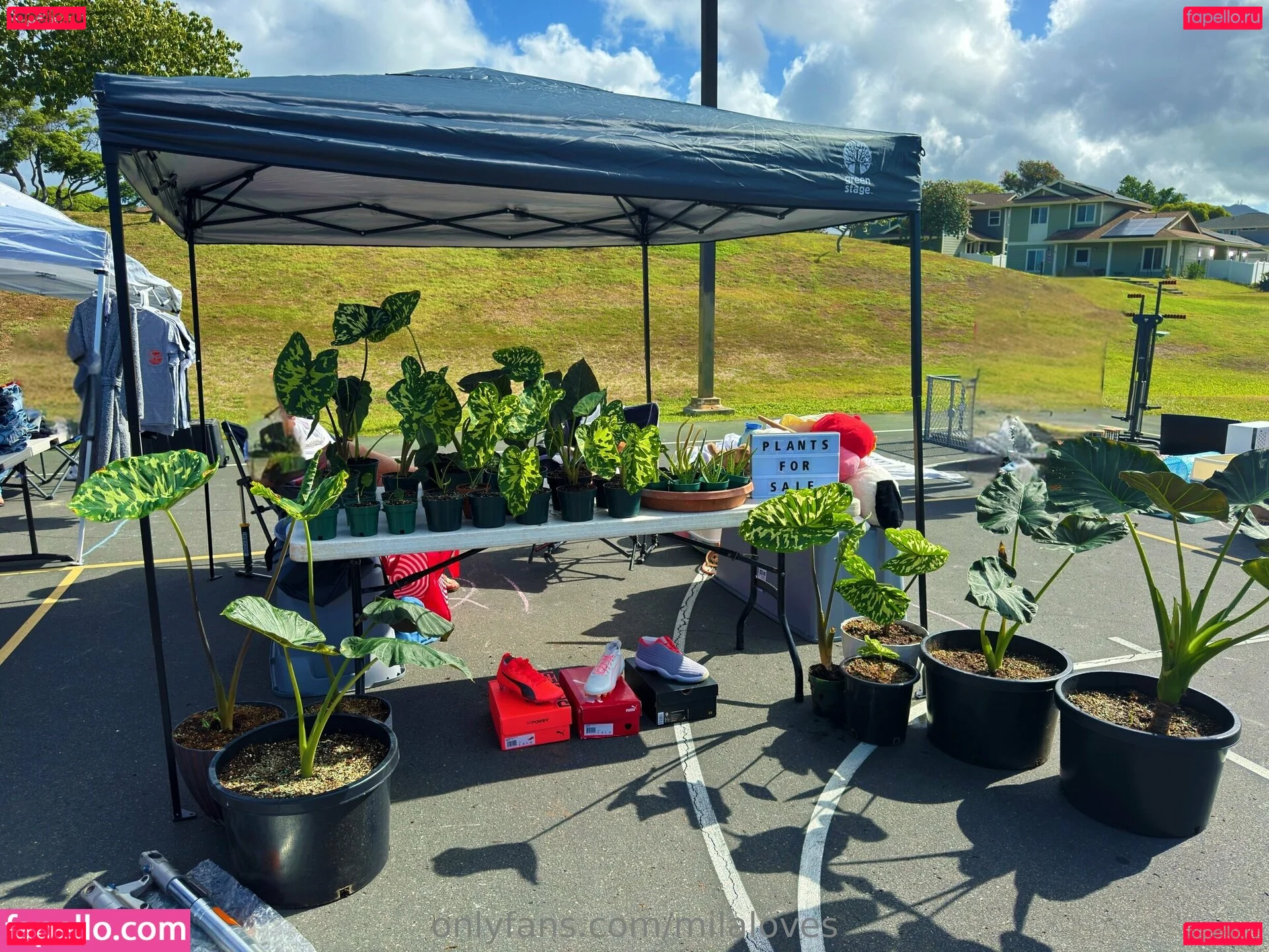 milaloves Onlyfans Photo Gallery 