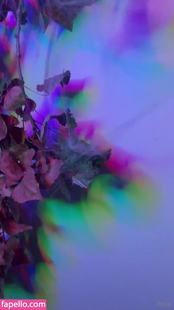 fleurxy Onlyfans Photo Gallery 