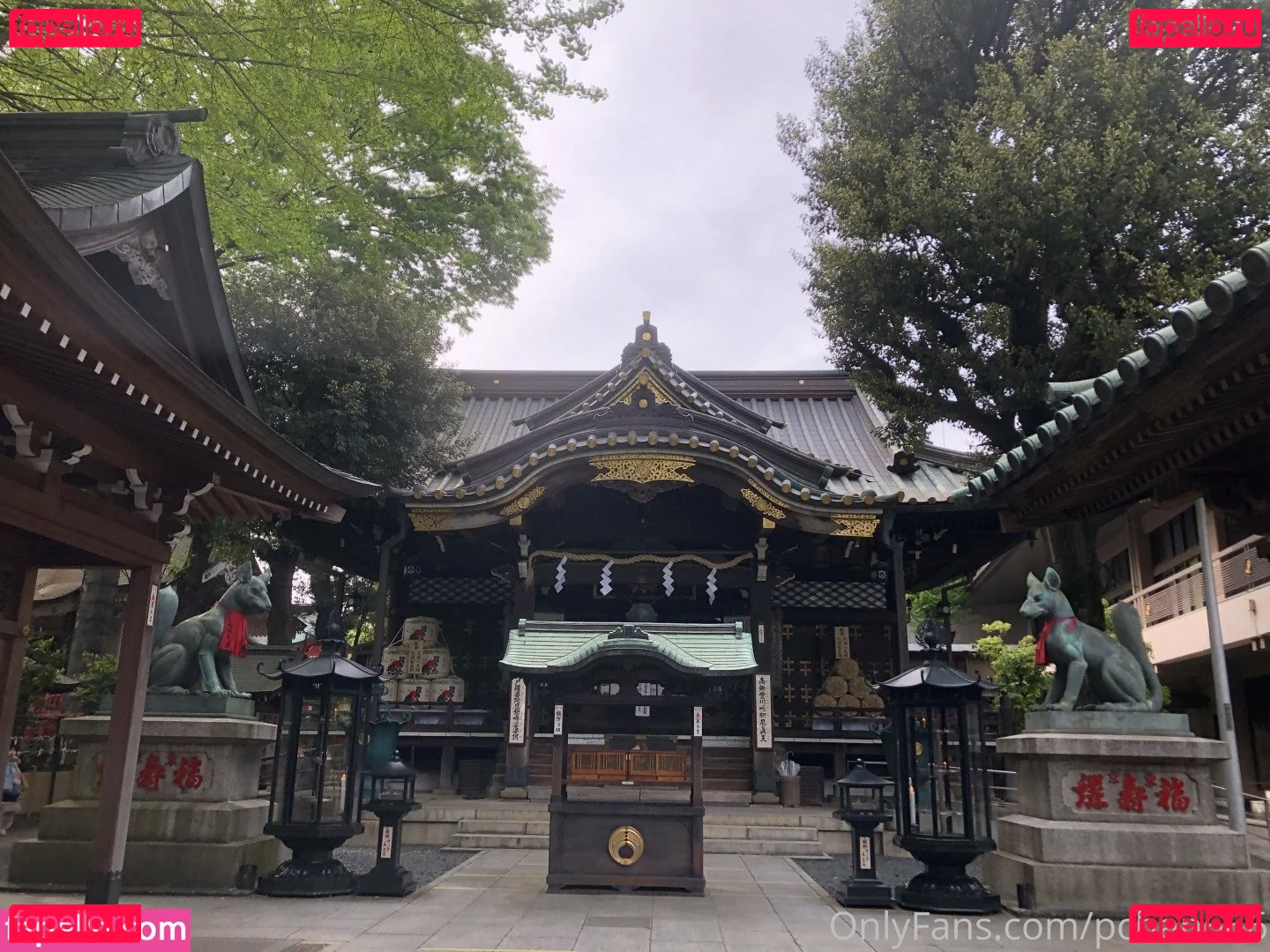 Pchan 666 Onlyfans Photo Gallery 