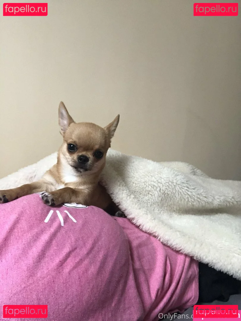 Pchan 666 Onlyfans Photo Gallery 