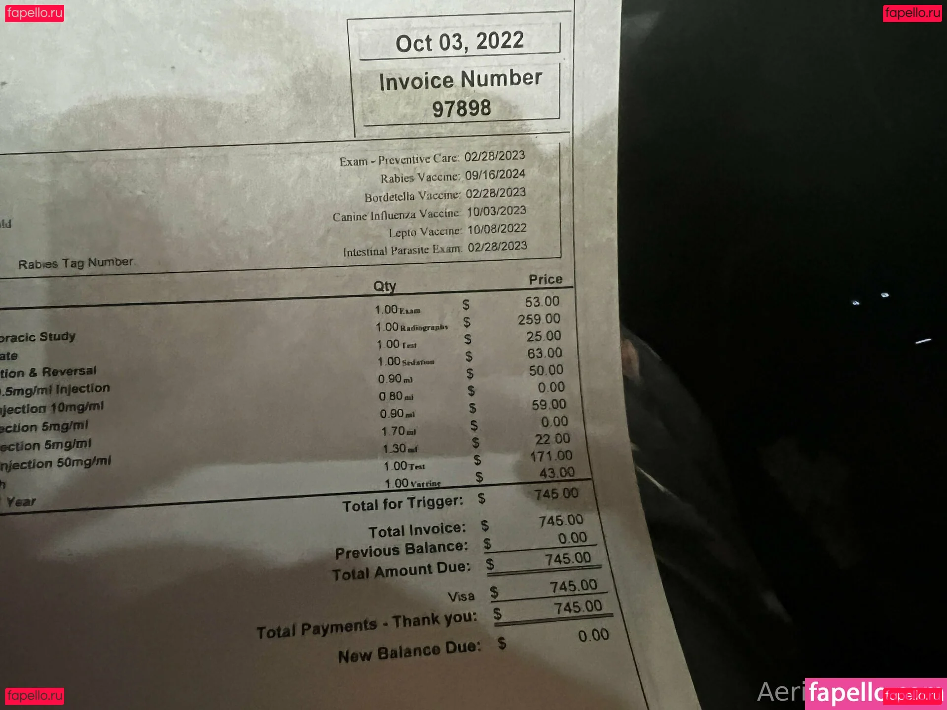 aeriesaunders Onlyfans Photo Gallery 