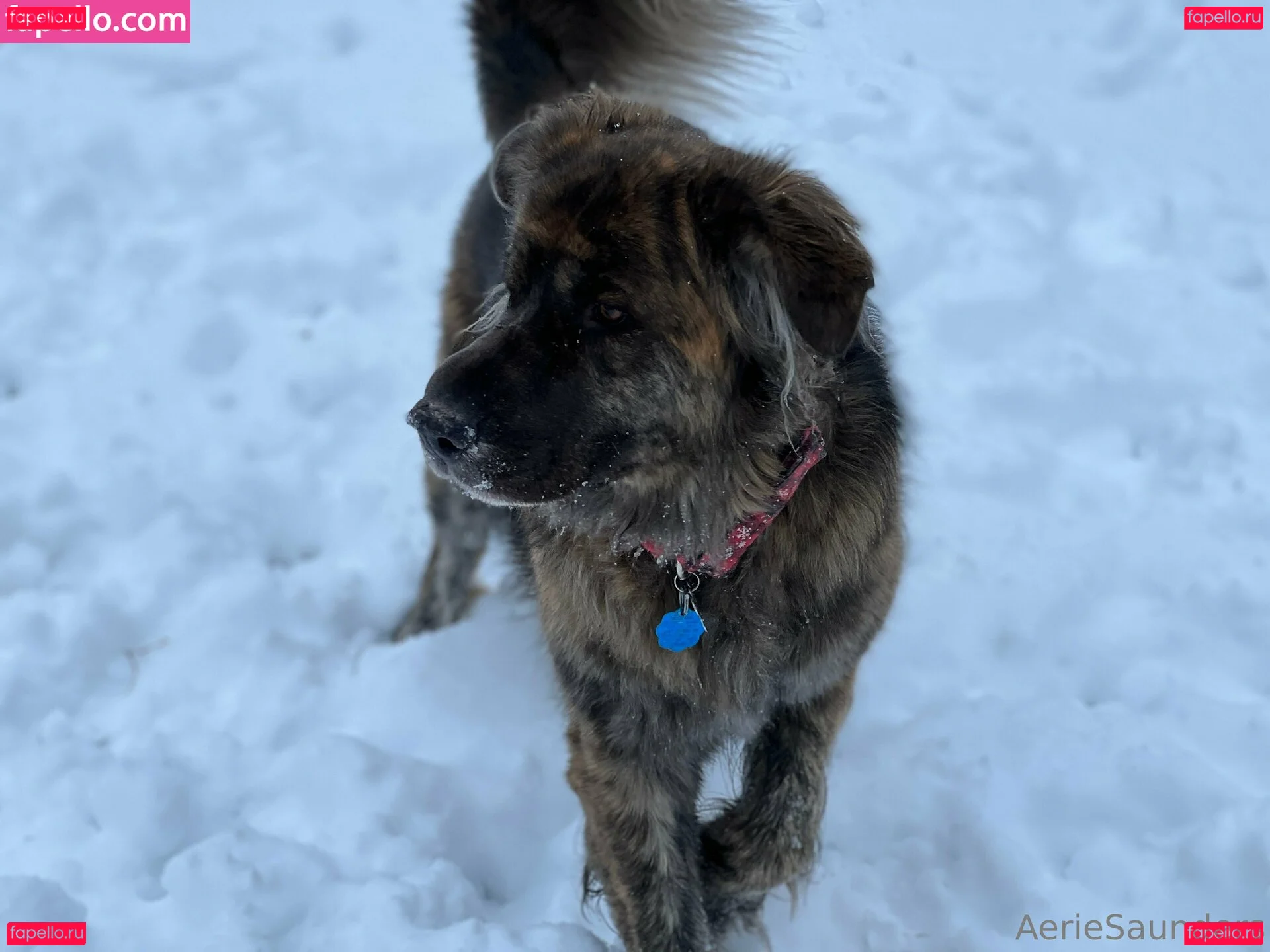 aeriesaunders Onlyfans Photo Gallery 