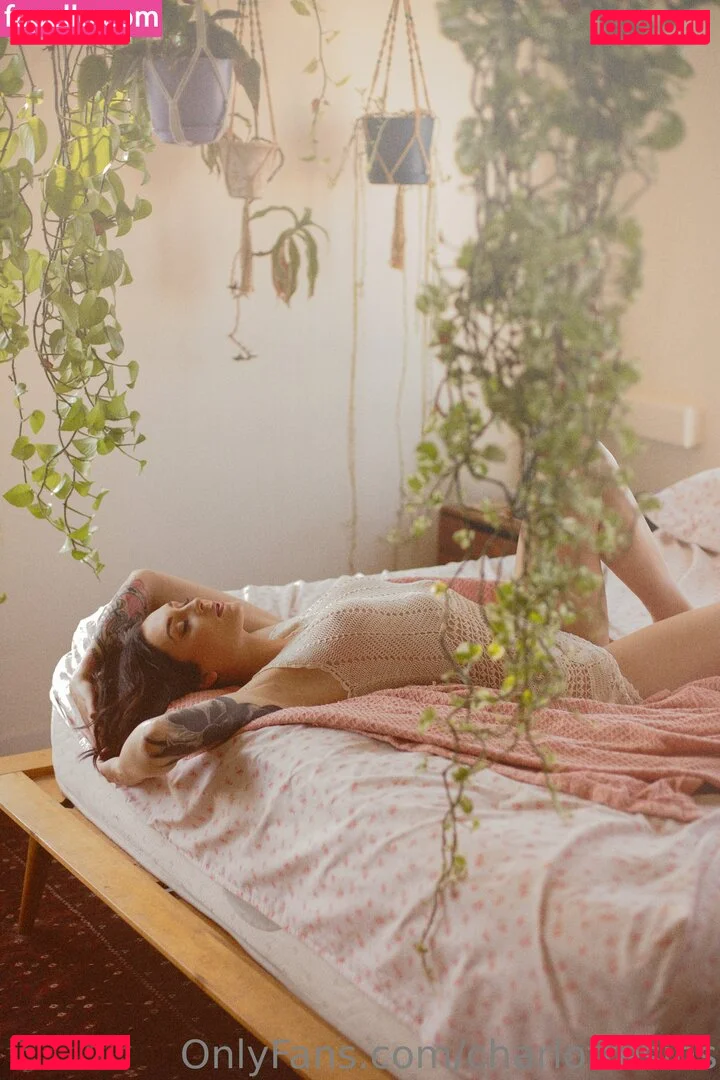 charlottesins Onlyfans Photo Gallery 