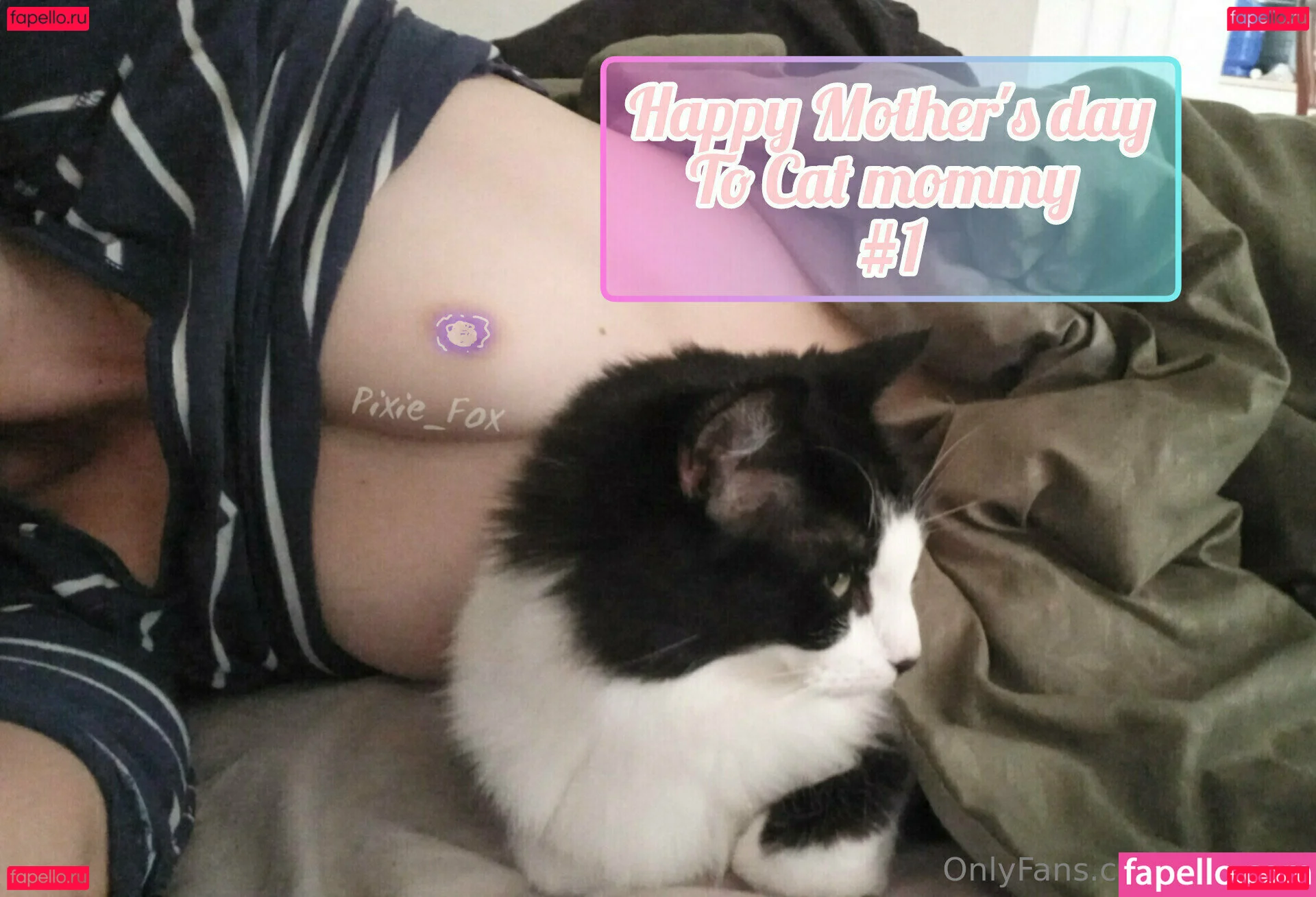 megfish Onlyfans Photo Gallery 