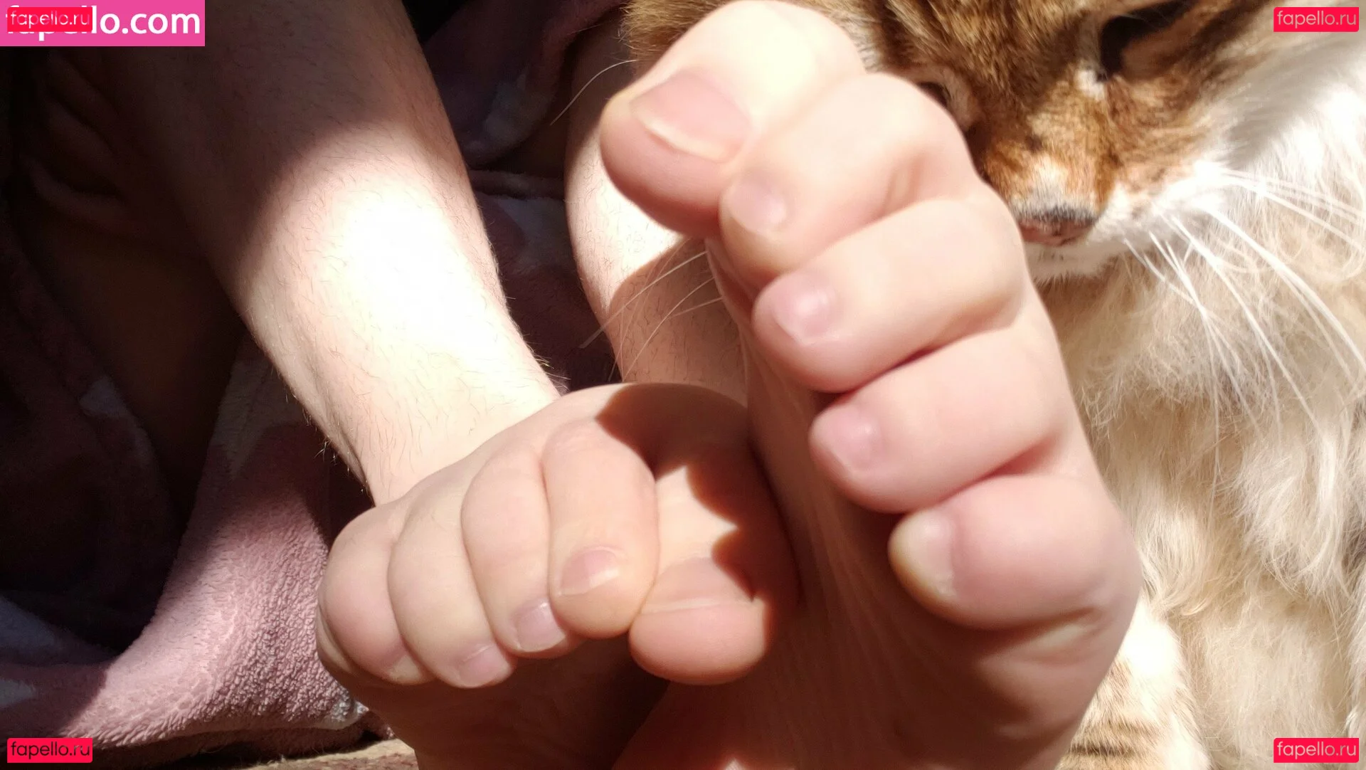 softcorekittyx Onlyfans Photo Gallery 