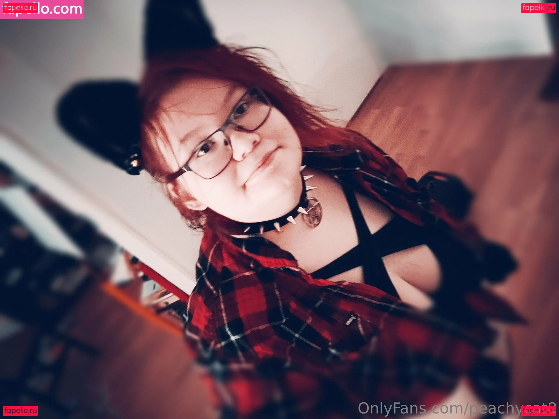 peachycat8 Onlyfans Photo Gallery 