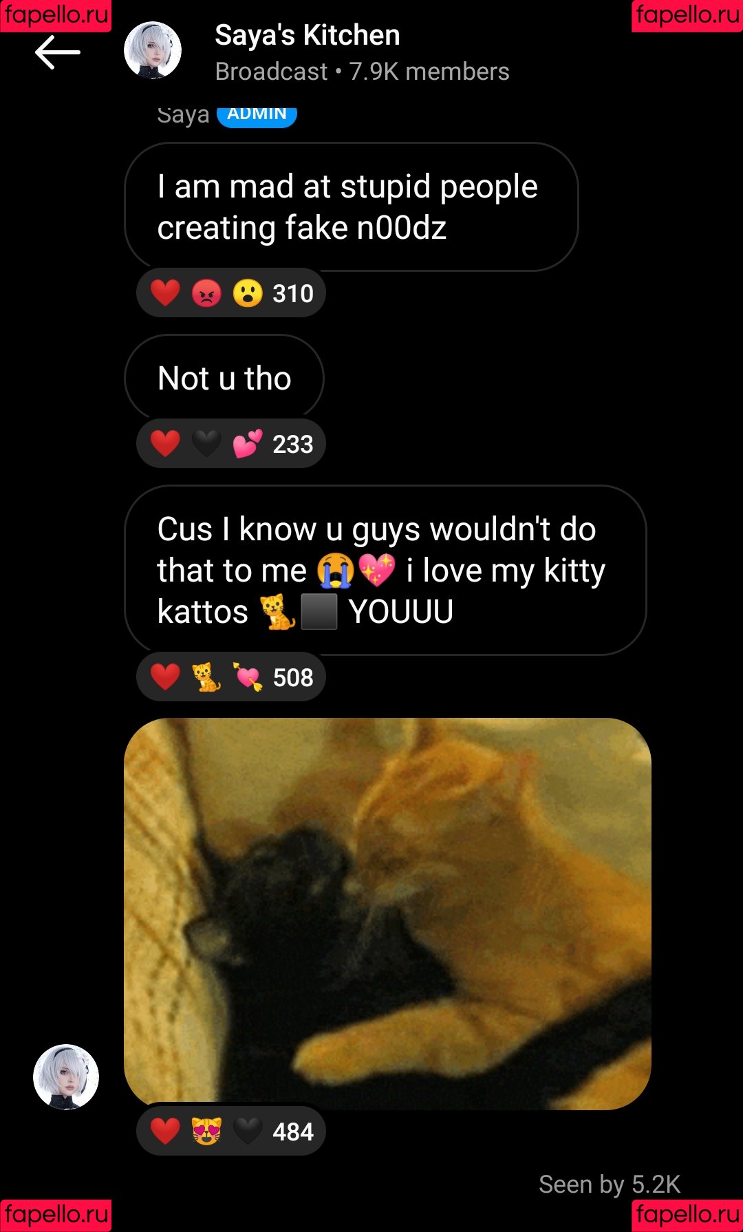 Sayathefox Onlyfans Photo Gallery 