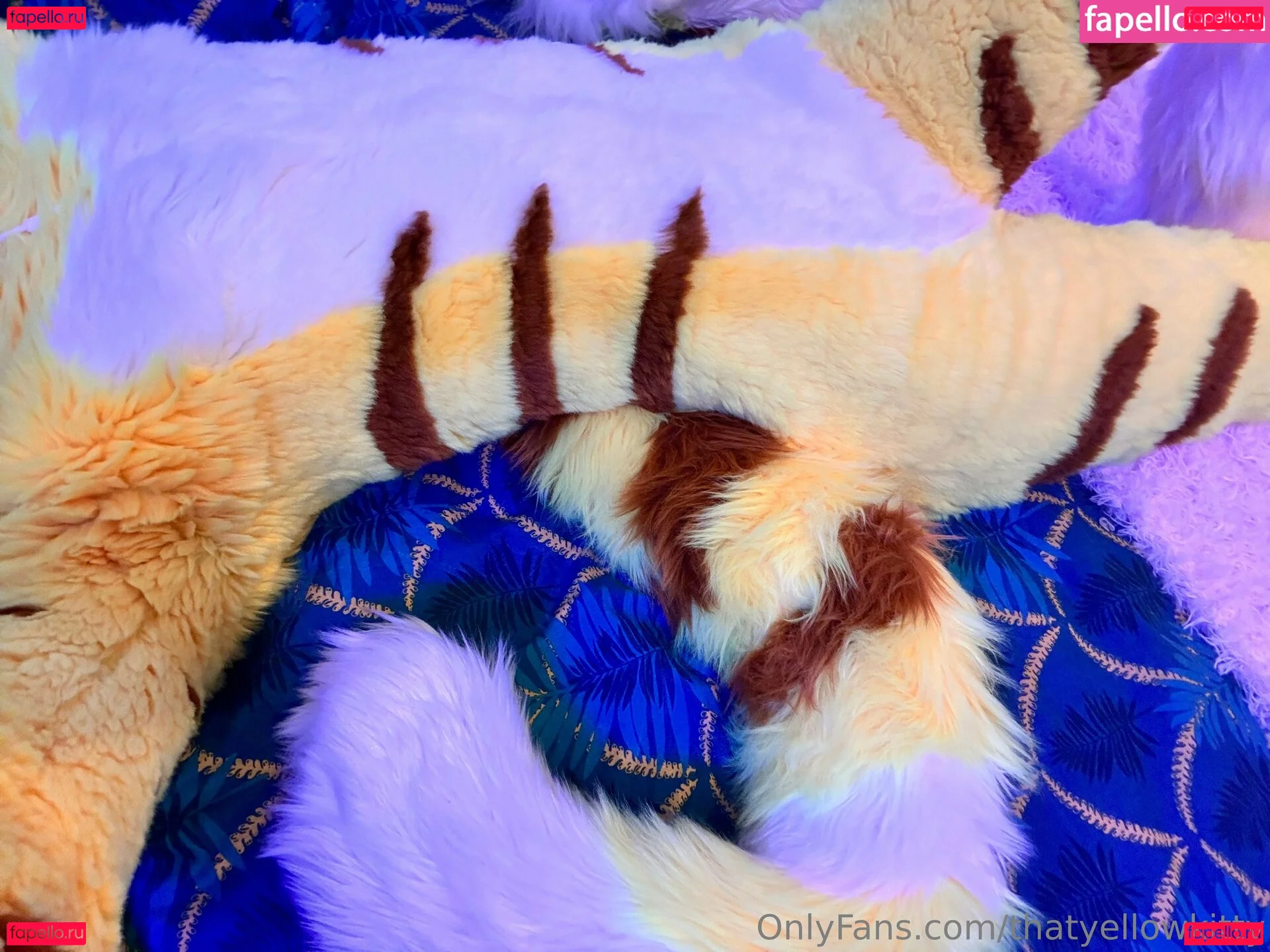 thatyellowkitty Onlyfans Photo Gallery 