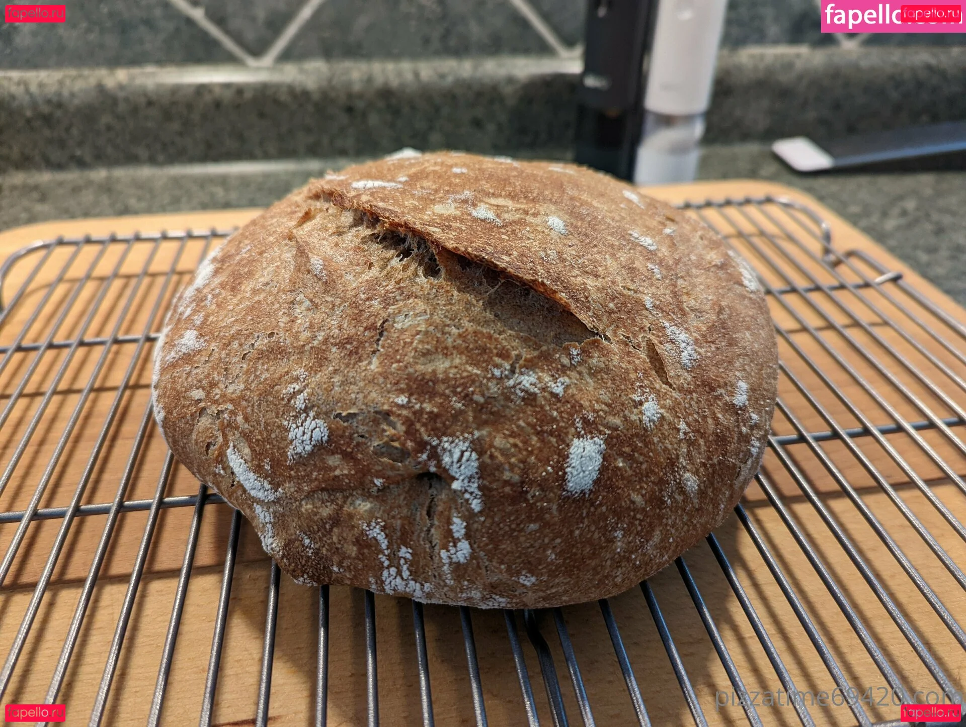 gutfuzz Onlyfans Photo Gallery 