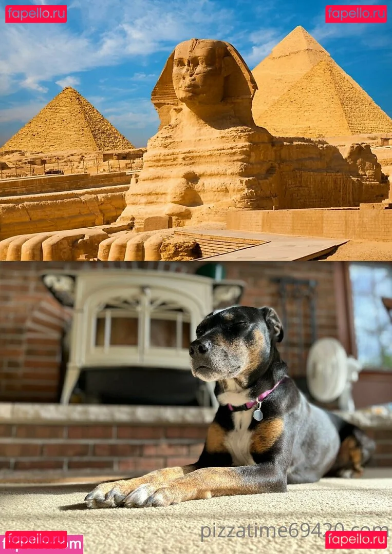 gutfuzz Onlyfans Photo Gallery 