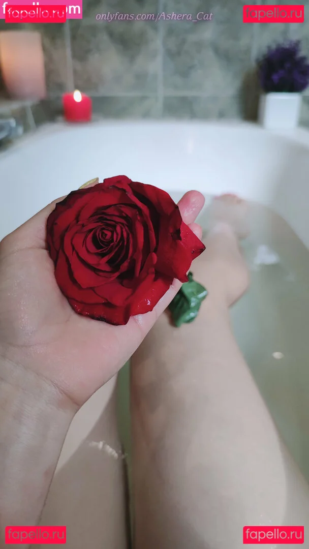 ashera_cat Onlyfans Photo Gallery 