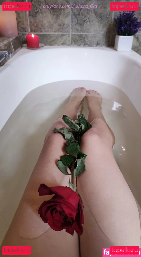 ashera_cat Onlyfans Photo Gallery 