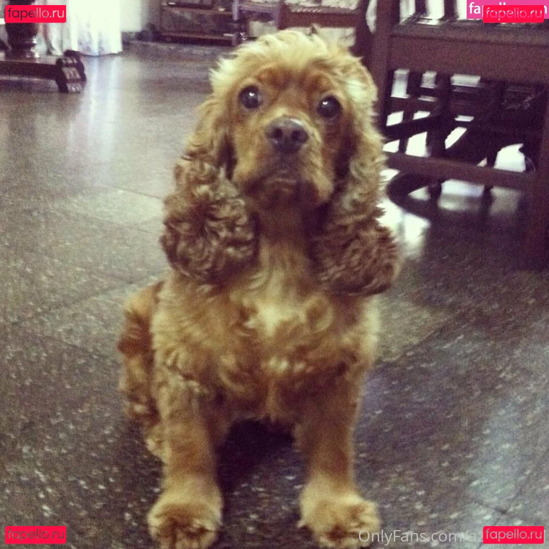 Azucarysal Onlyfans Photo Gallery 